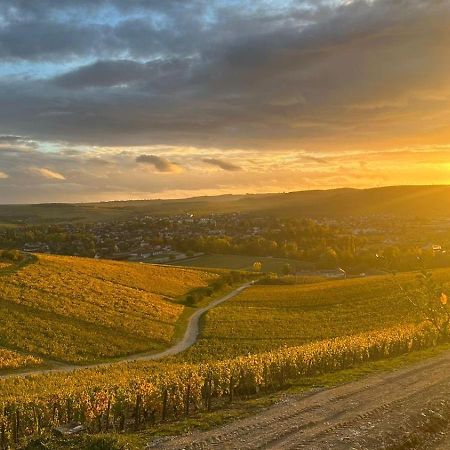 Maison De Campagne Entre Vigne Et Bois Chablis Esterno foto